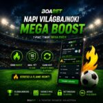 Napi világbajnoki